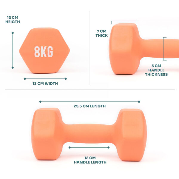 Dimensions of Myga neoprene 8kg dumbbell