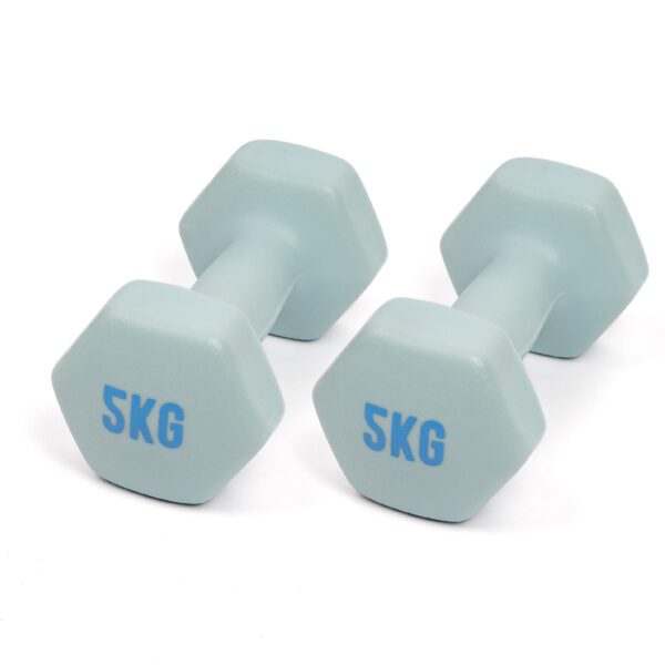 5kg Dumbbell set